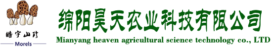 &#31859;&#20848;&#32593;&#39029;&#29256;&#45;&#31859;&#20848;&#40;&#20013;&#22269;&#41;