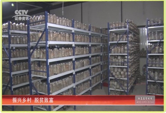 &#31859;&#20848;&#32593;&#39029;&#29256;&#45;&#31859;&#20848;&#40;&#20013;&#22269;&#41;
