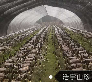 &#31859;&#20848;&#32593;&#39029;&#29256;&#45;&#31859;&#20848;&#40;&#20013;&#22269;&#41;