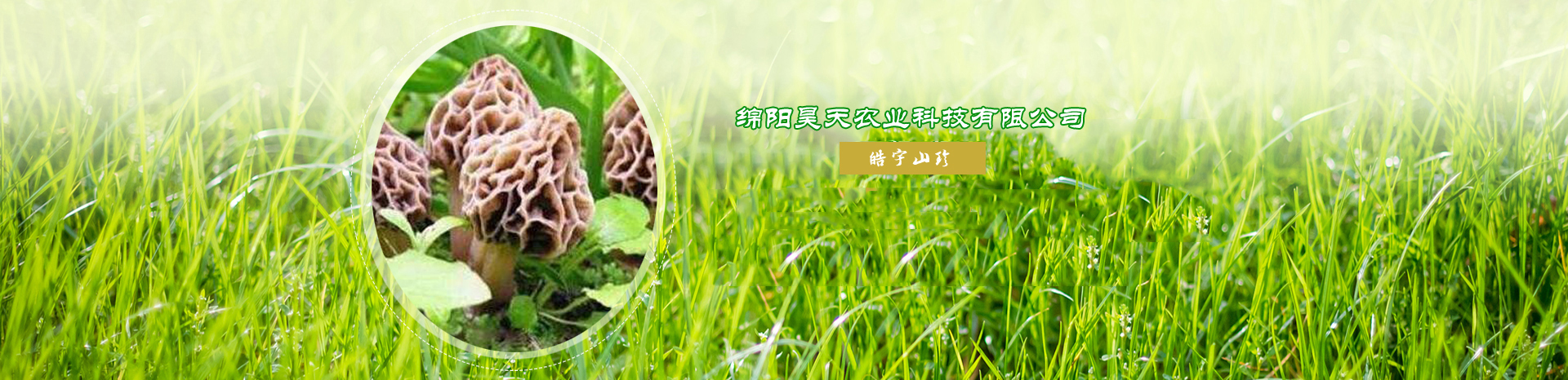&#31859;&#20848;&#32593;&#39029;&#29256;&#45;&#31859;&#20848;&#40;&#20013;&#22269;&#41;