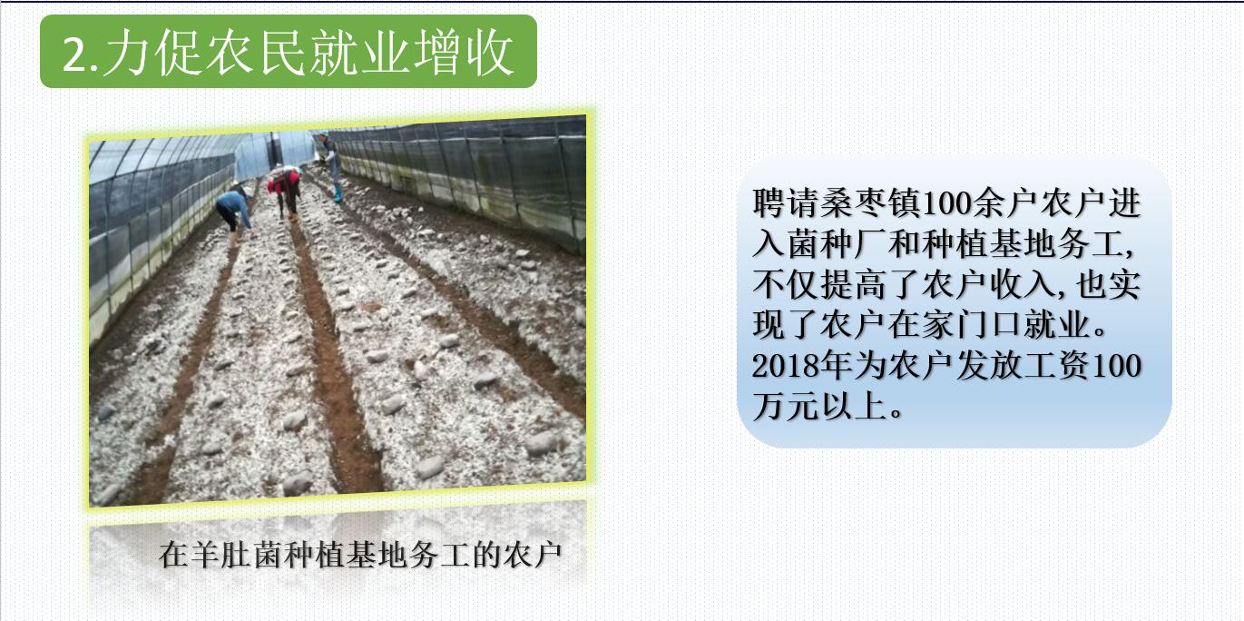&#31859;&#20848;&#32593;&#39029;&#29256;&#45;&#31859;&#20848;&#40;&#20013;&#22269;&#41;